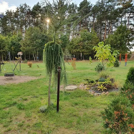 Dom wakacyjny Sosnowe Widoki - Nowe Nad Rzeką Soną - Dom Całoroczny Szczawin (Plonsk)