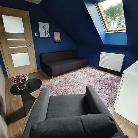 Dom wakacyjny Sosnowe Widoki - Nowe Nad Rzeką Soną - Dom Całoroczny